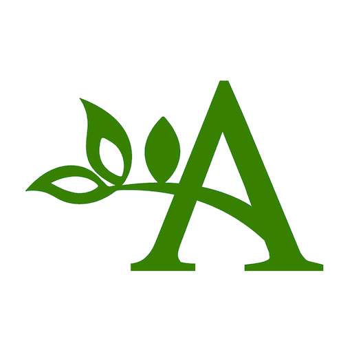 amare montessori